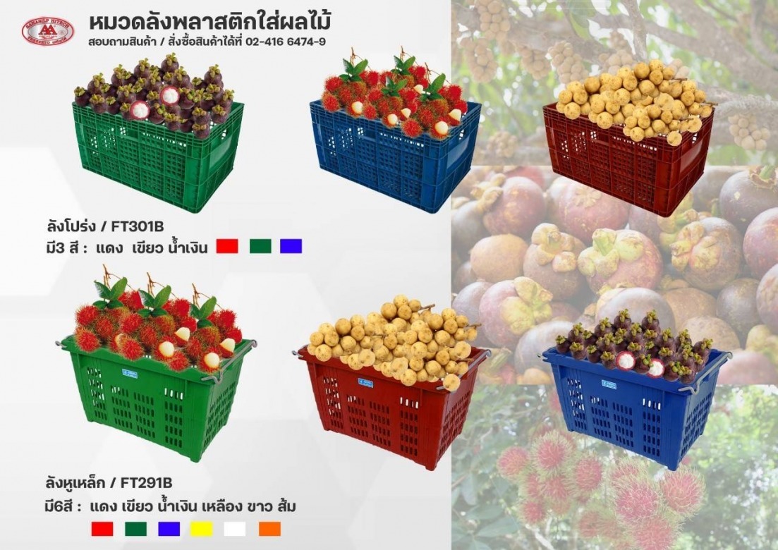 โรงงานผลิตตะกร้าผลไม้-สหศิลป์ไฮเทค